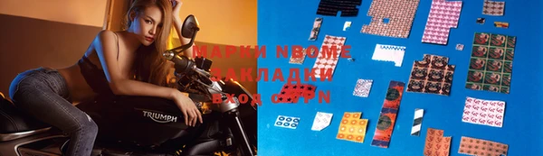 apvp Алексин