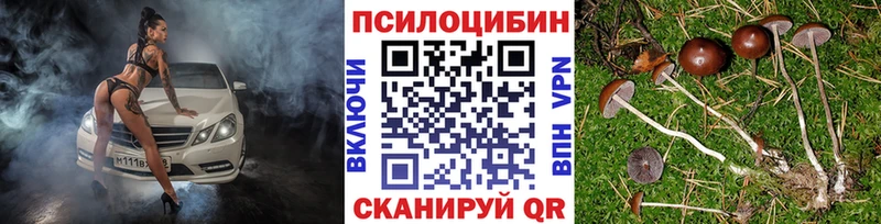 Псилоцибиновые грибы мухоморы  наркотики  Черепаново 